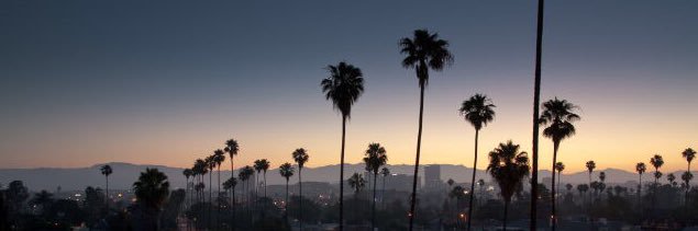 lil_raymon's profile banner image