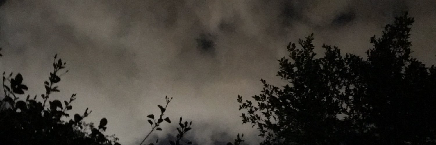 OpportetTe's profile banner image