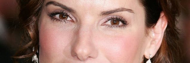 sandrabullock official Pg banner