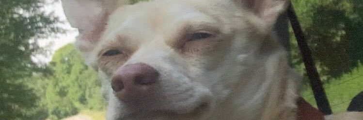 Da_Ky_Guy9's profile banner image