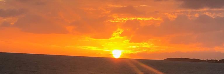 Faroni Javier banner