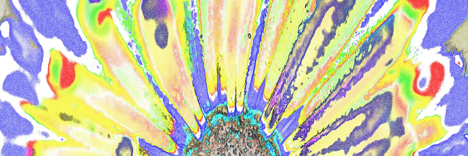 platypuslee banner
