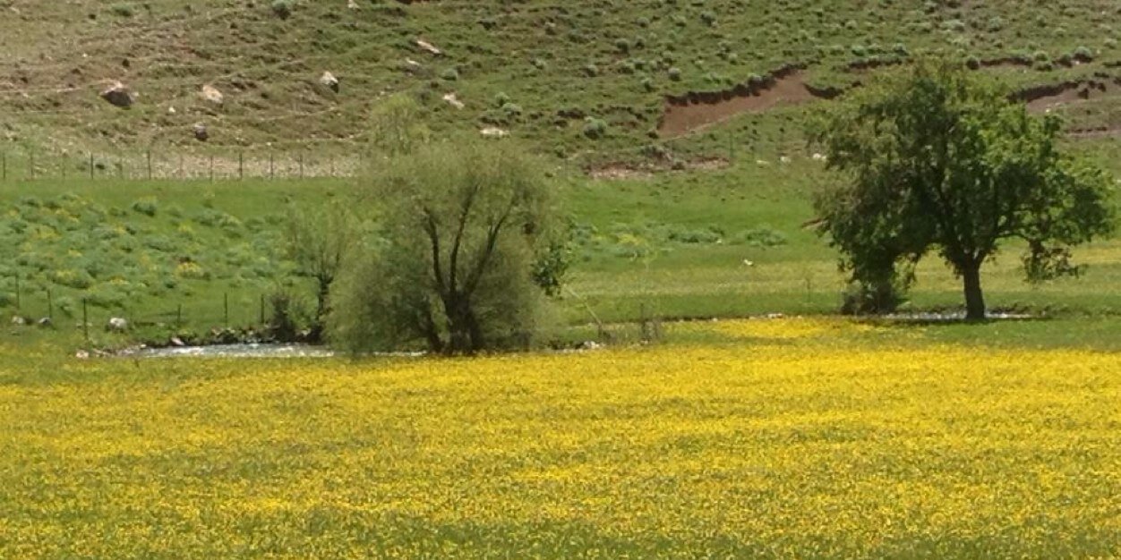ibrahimmbayram's profile banner image