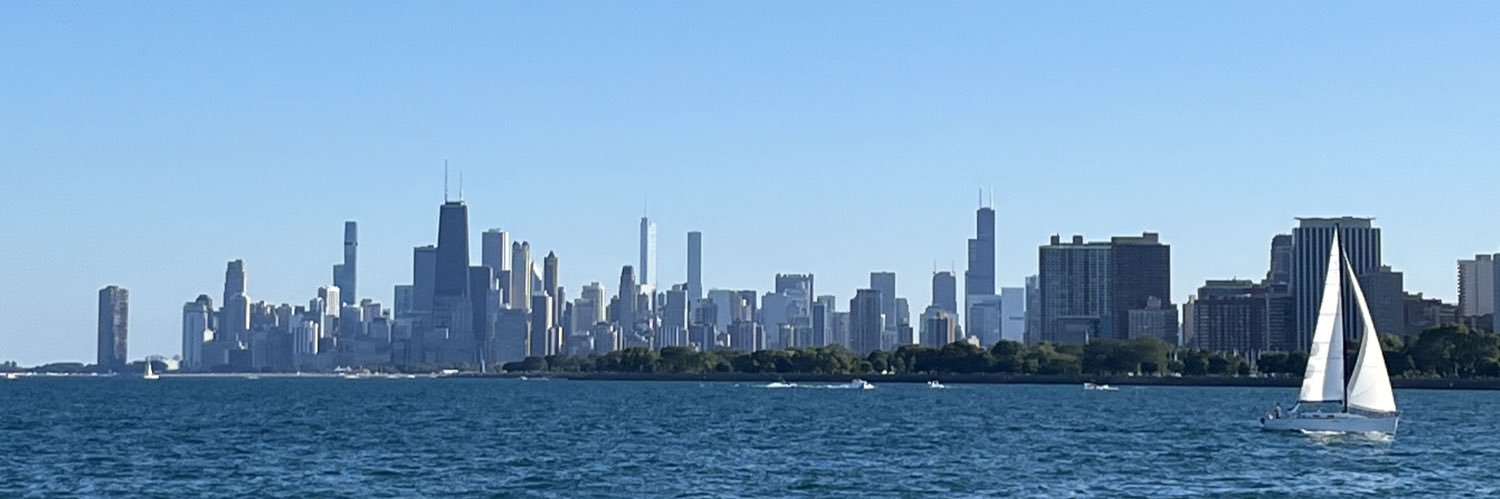 insurgent aesthetics banner