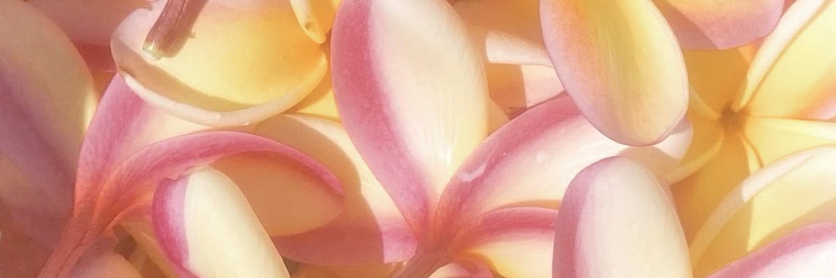 𝖻𝗅𝗎 ᧔•᧓ banner