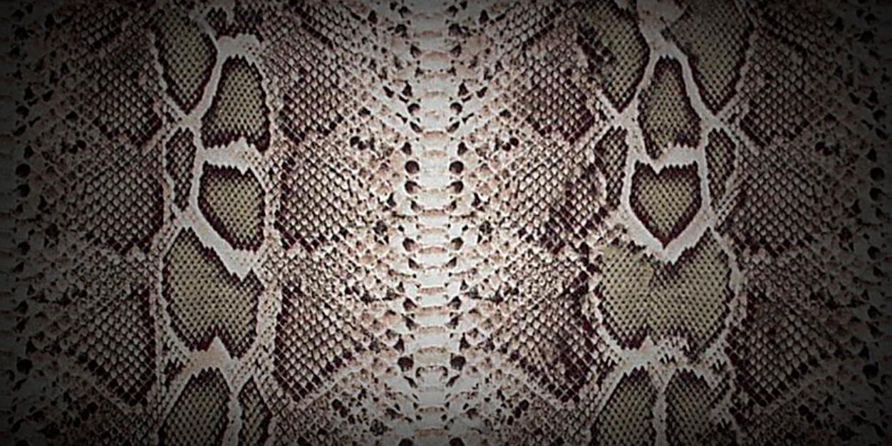 IanDavids_'s profile banner image