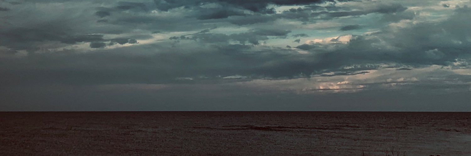El banner