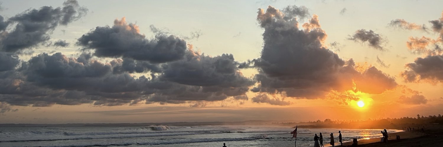 passenger princess banner