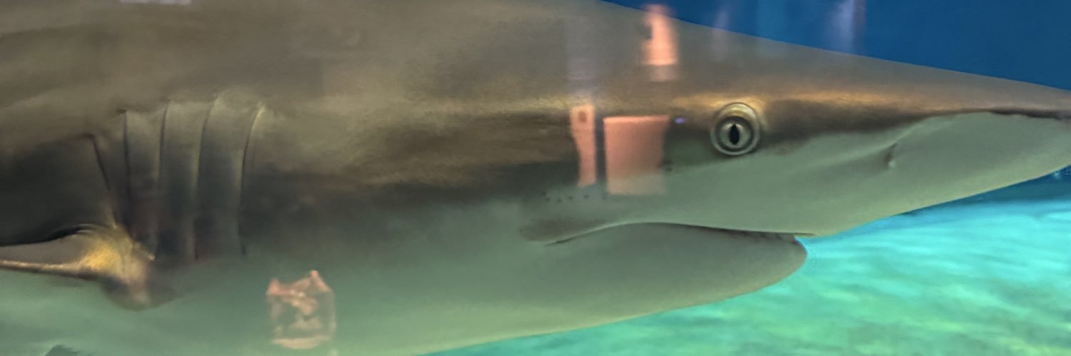 のん ガバ特攻兵 banner
