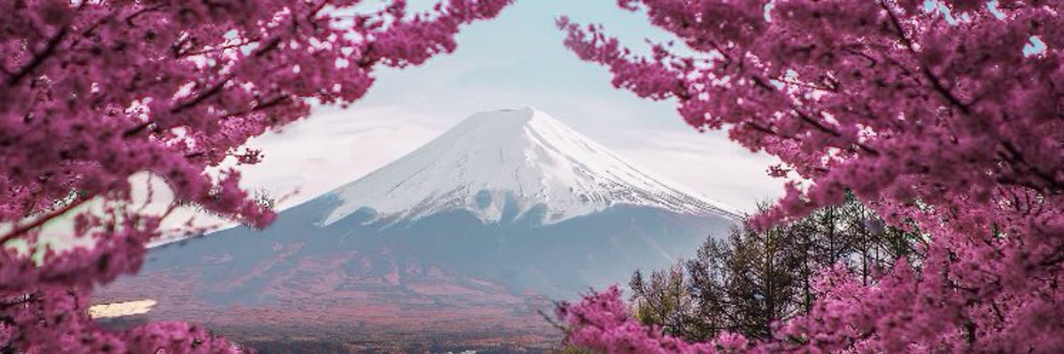 braliyah_'s profile banner image