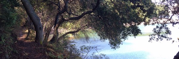 mills0509 Profile Banner