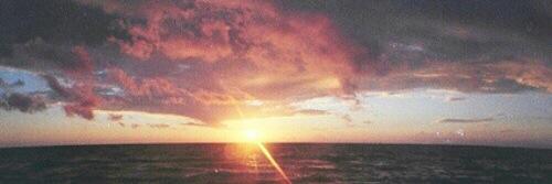 amandda_t's profile banner image