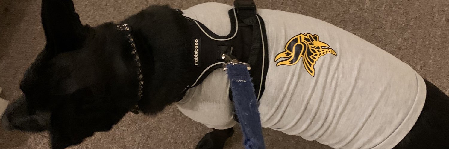 MsCarney📚🌎 banner