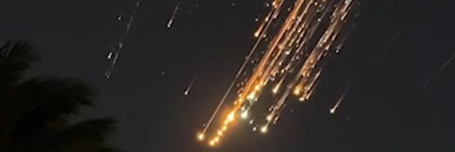 Elon Is DogEshit's banner