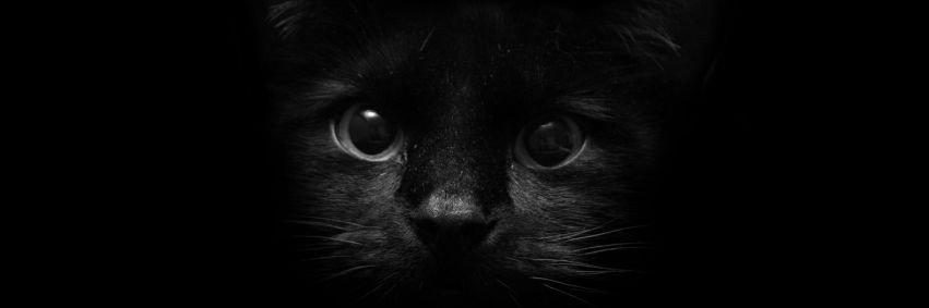 Leonelanazzi's profile banner image