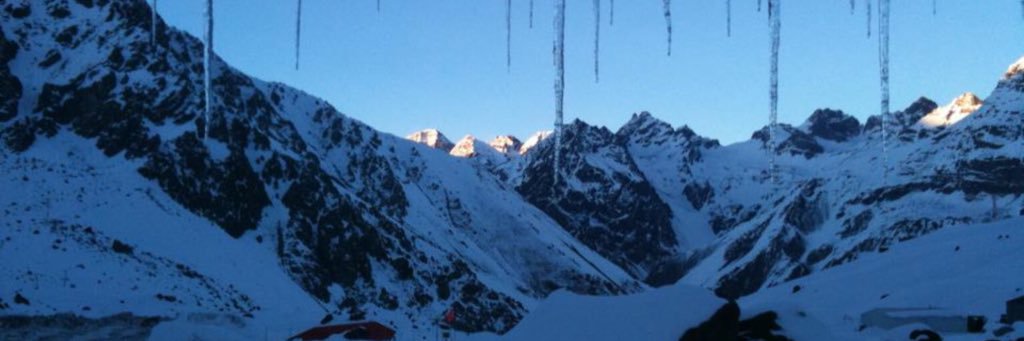 🇨🇦 PT chick banner