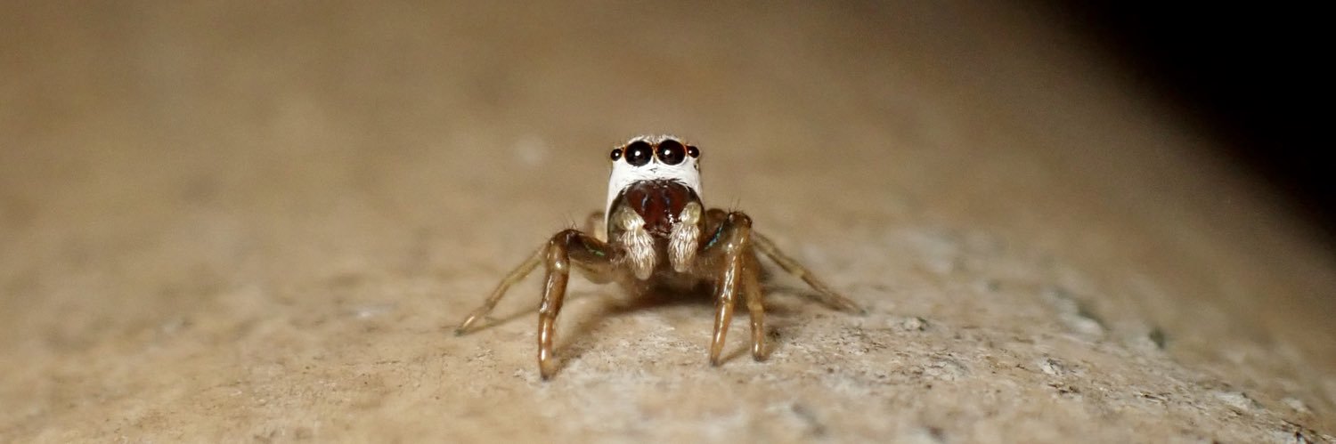 かなじろう Kanajirou banner