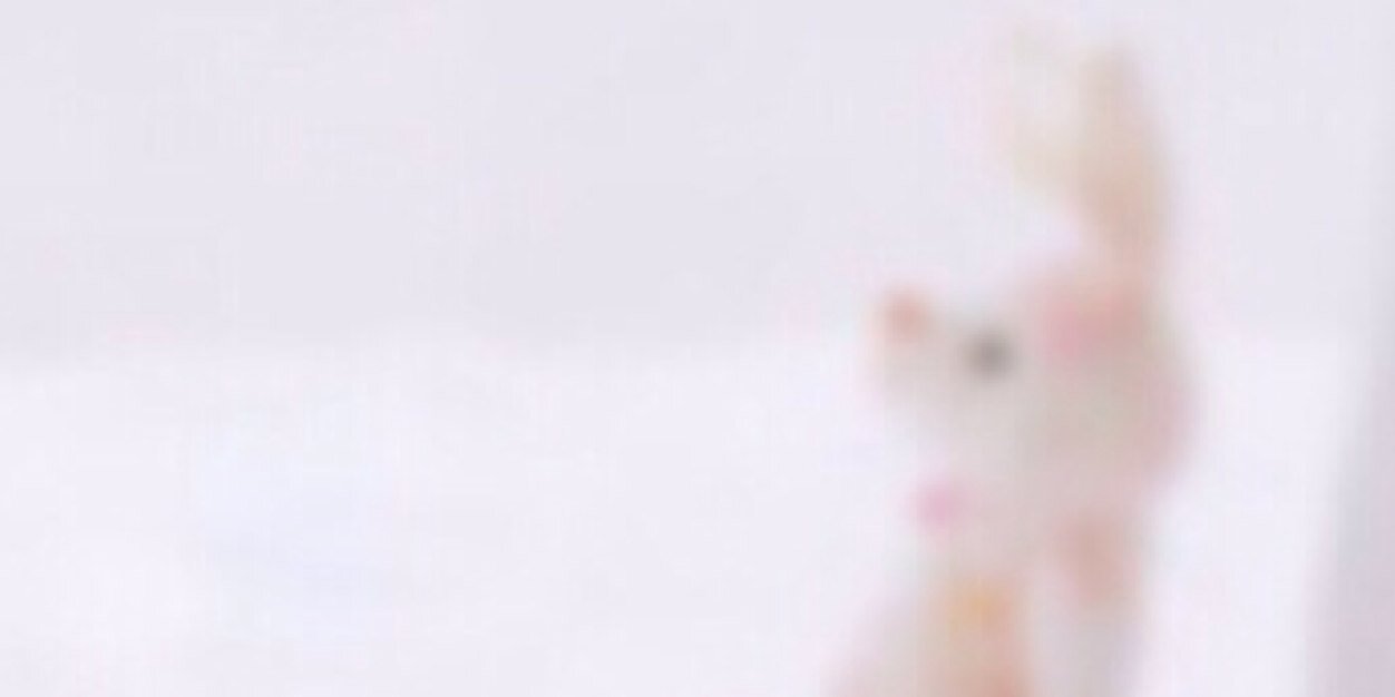 ________alp's profile banner image