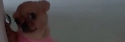 sshesmovedon's profile banner image