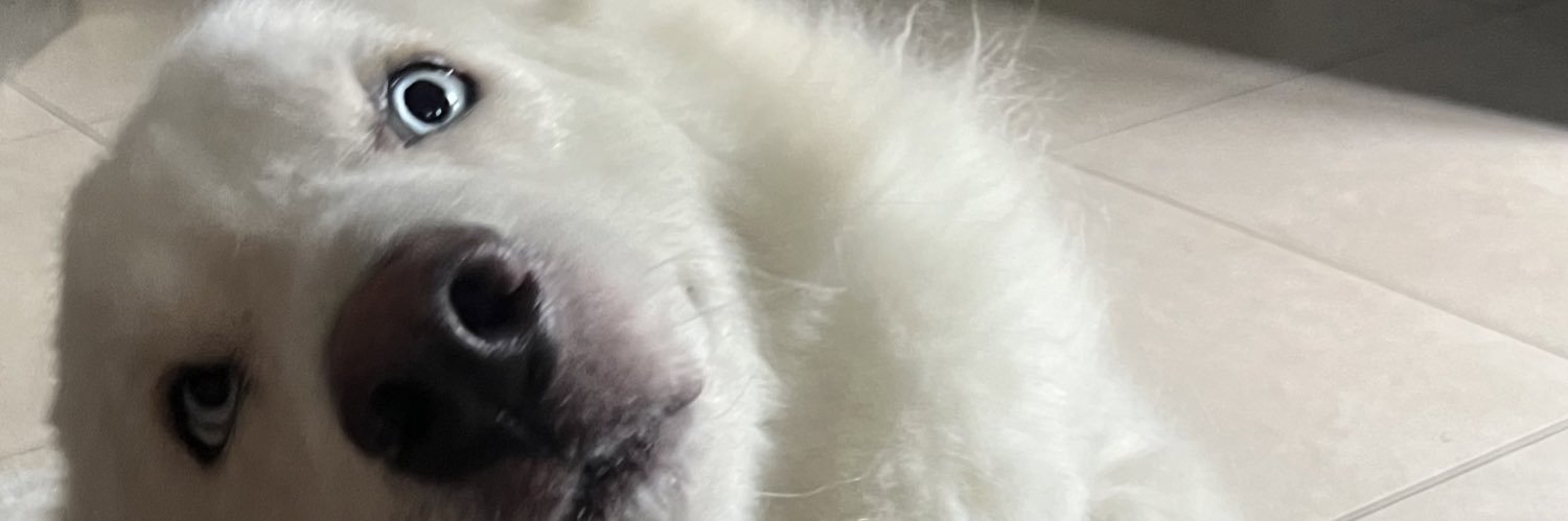_oswaldoxavier_'s profile banner image