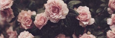 zoedevon16's profile banner image