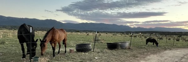 WildWindRanch1 Profile Banner