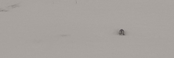 Eire838345 Profile Banner