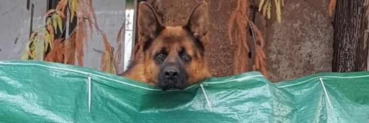 Lukkitas_sch's profile banner image