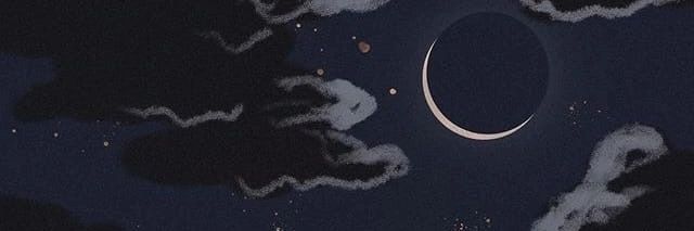 vischnika's profile banner image