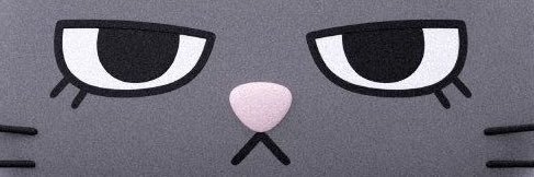 buzz banner
