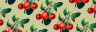 KIMIKO banner