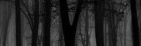 𝒱𝒶𝓁𝓋𝒶 ♈️🔥 banner