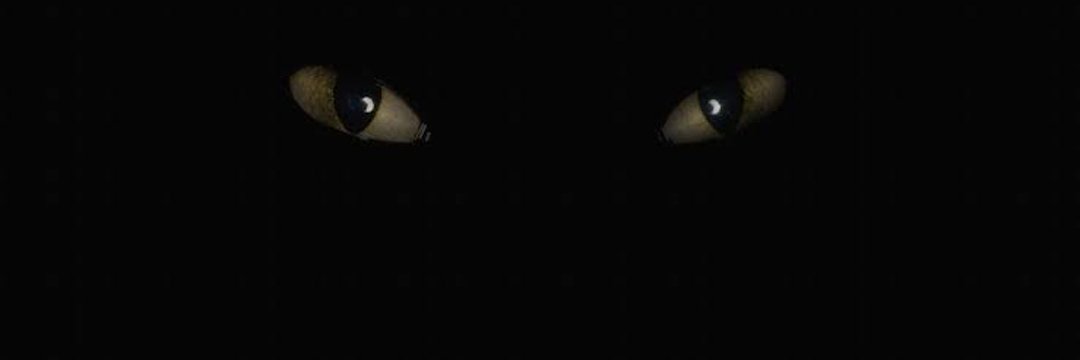 itzxohaib's profile banner image