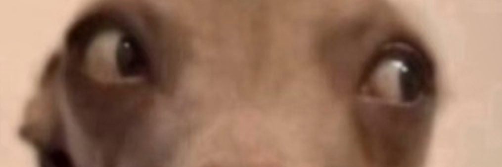 Grantedpeanut's profile banner image