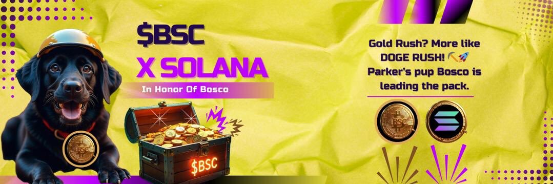 BoscoOnSol's profile banner image