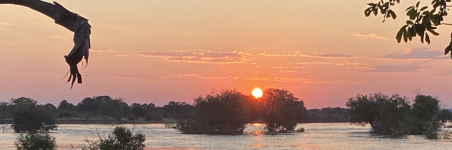 Susannah Robert banner