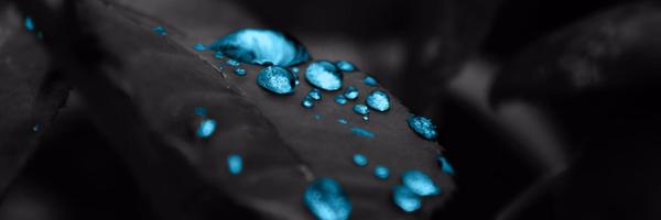 reffervescent Profile Banner