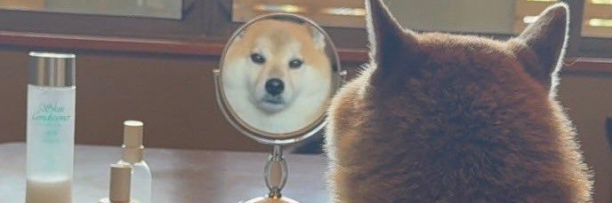 Freespeech honey potter 3000 banner