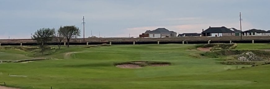 Hadley Reynolds banner