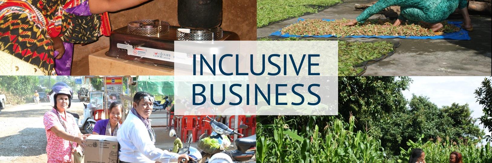 Inclusive Business Partners banner
