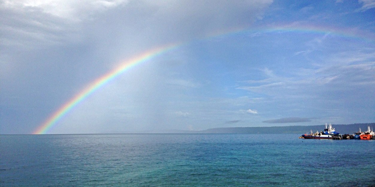 rizhka carolina banner