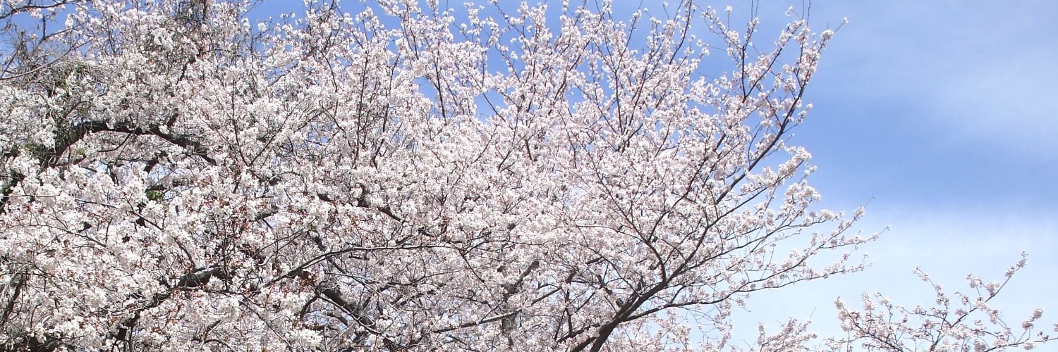 荒木九十九 banner