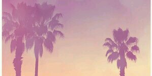 glittatrix's profile banner image