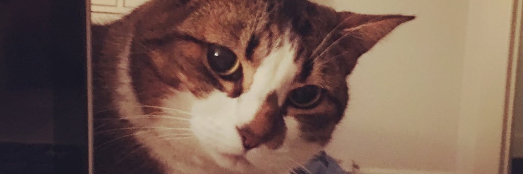 Courtney banner