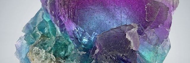 jarofmoths banner