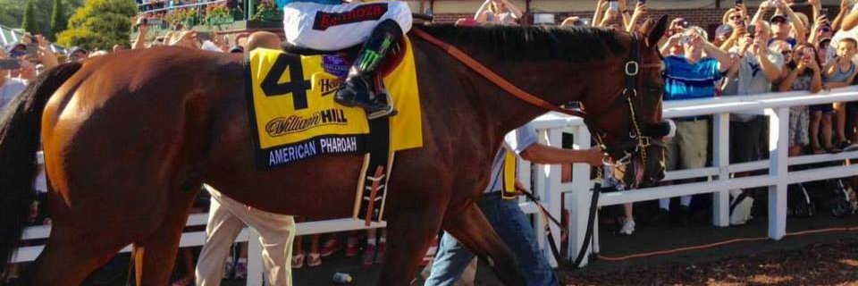 Devon Dougherty banner