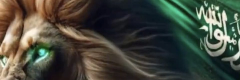 wbasahl's profile banner image