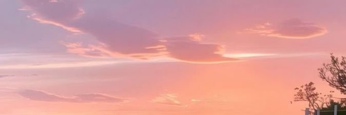 decornsalad's profile banner image