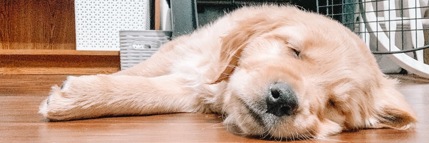 Kmuno13's profile banner image