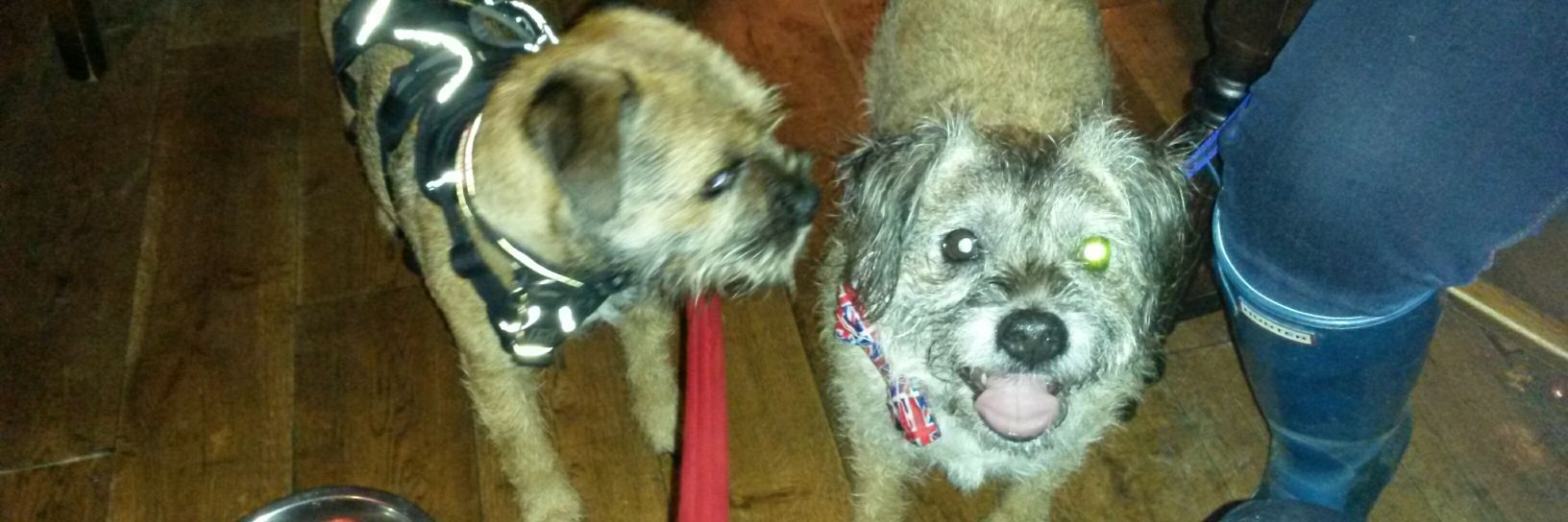 GruffDog banner